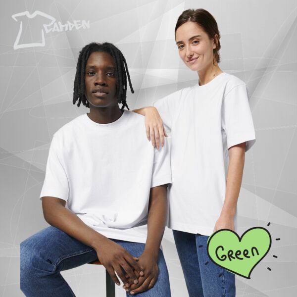 Freestyler relaxed heavy t-shirt (STTU788) Thumbnail