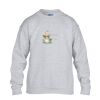 Heavy Blend™ youth crew neck sweatshirt Thumbnail