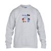 Heavy Blend™ youth crew neck sweatshirt Thumbnail