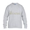 Heavy Blend™ youth crew neck sweatshirt Thumbnail