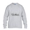 Heavy Blend™ youth crew neck sweatshirt Thumbnail