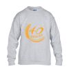 Heavy Blend™ youth crew neck sweatshirt Thumbnail