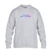 Heavy Blend™ youth crew neck sweatshirt Thumbnail