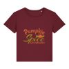 Women’s Stella Serena iconic mid-light t-shirt (STTW173) Thumbnail